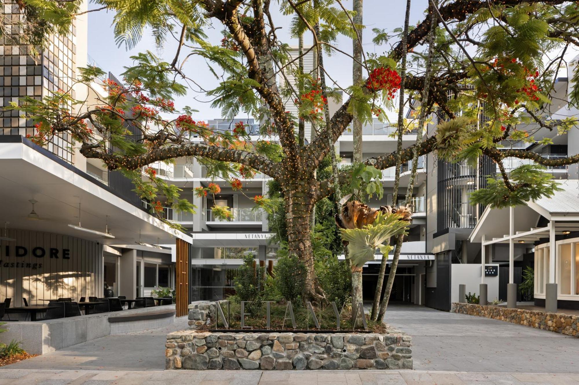 Netanya Noosa Beachfront Resort מראה חיצוני תמונה